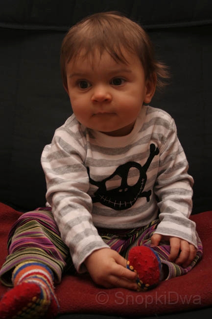 IMG_6997.jpg - ...