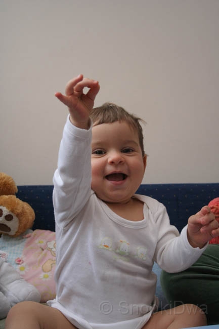 IMG_7261.jpg - ...