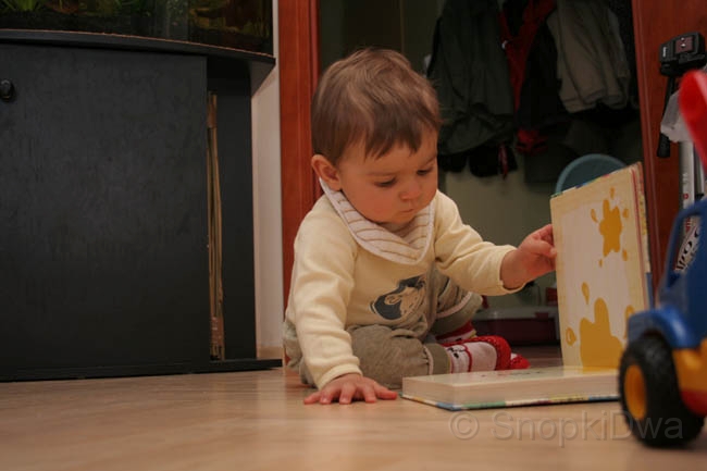 IMG_7296.jpg - ...