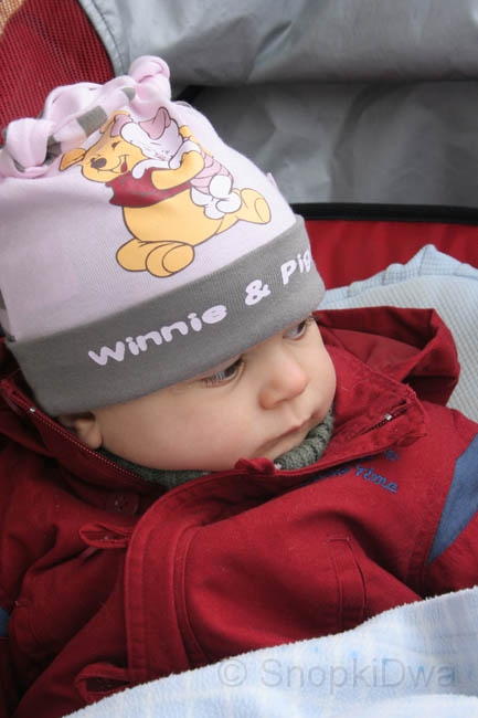 IMG_7310.jpg - ...
