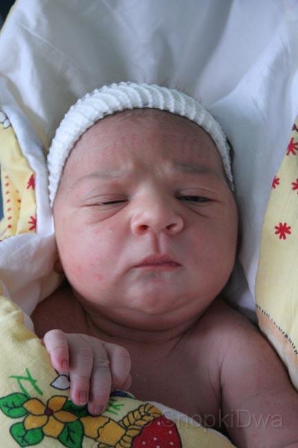 IMG_3614.jpg - ...