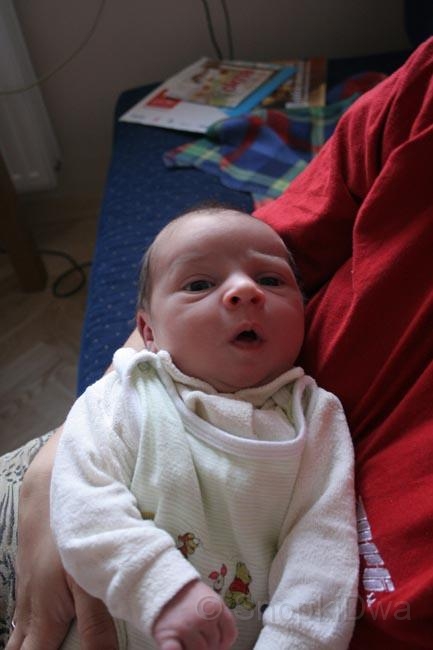 IMG_3704.jpg - ...