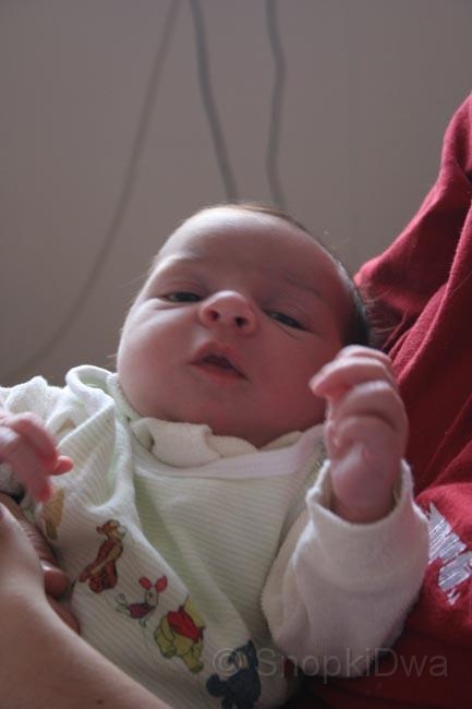 IMG_3708.jpg - ...