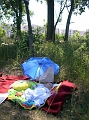 DSCN0462
