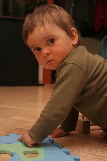 IMG_7562.jpg - ...