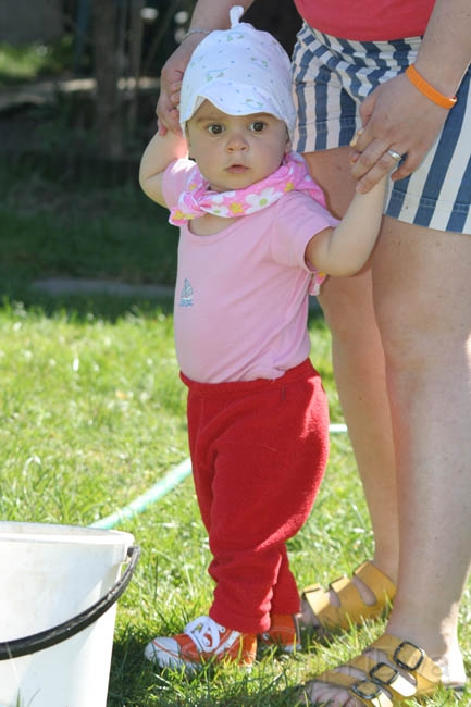 IMG_7653.jpg - ...
