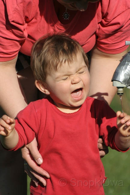 IMG_7727.jpg - aaaaaaaa!
