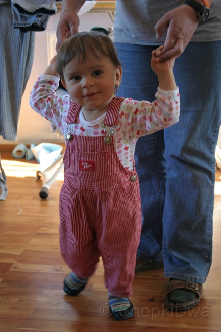 IMG_7738.jpg - ...