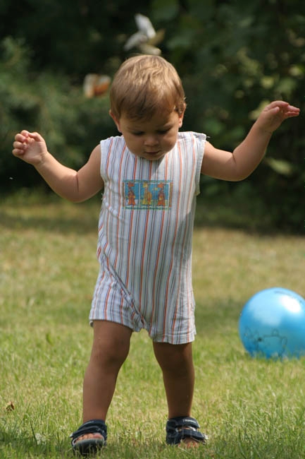 IMG_8931.jpg - ...