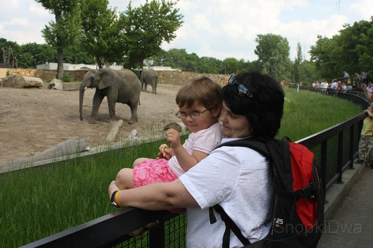 IMG_01166.jpg - w ZOO