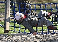 IMG_03874